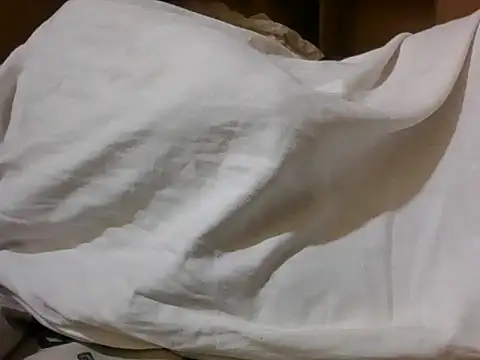 Desiredjep webcam