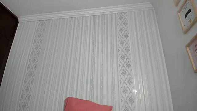 Carnetine webcam