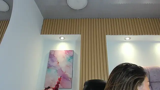1Sloppy_Fox4 webcam