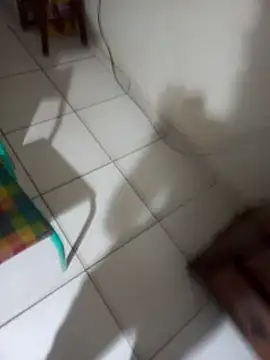 userbrasil12345 webcam