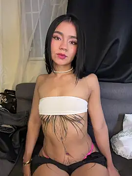 Dakota-fire webcam