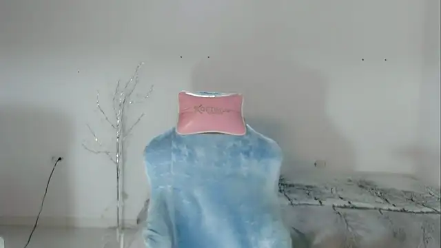 2c_Bby webcam