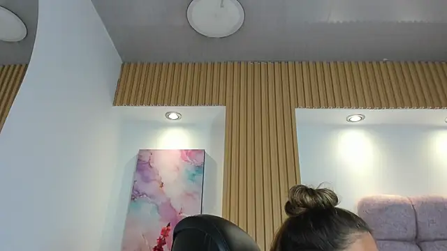 1Sloppy_Fox4 webcam