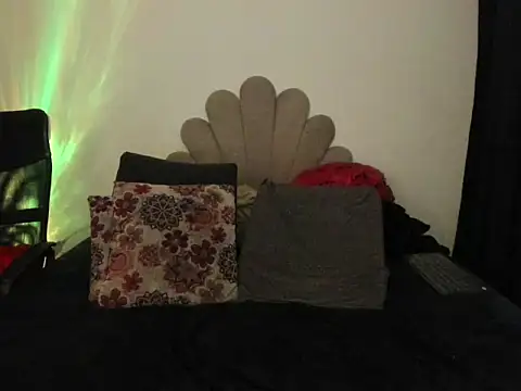 sinnei__ webcam