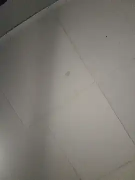 koolbend webcam