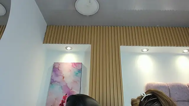 1Sloppy_Fox4 webcam