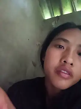 Hoa-tuylip webcam