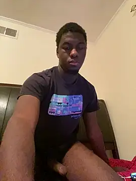 ThickDic28 webcam