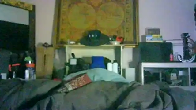 CR3M3_FIR3 webcam