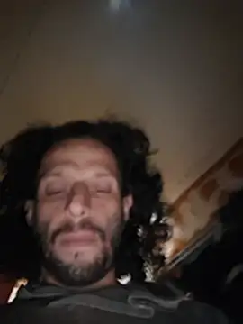 Toycockhot webcam
