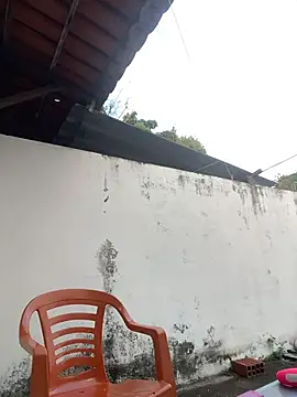 Dasul_ live cam