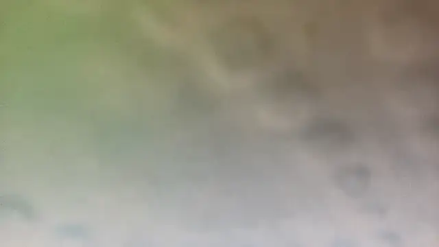 phoenixafter webcam