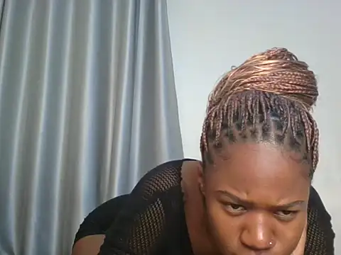 Fries20 webcam