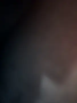 Bite229 webcam