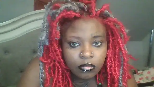 xdusa6 webcam
