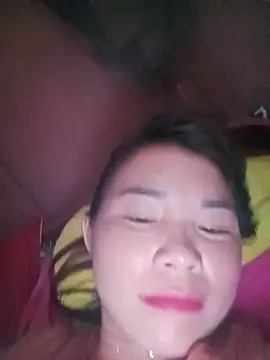 -Nibi- webcam