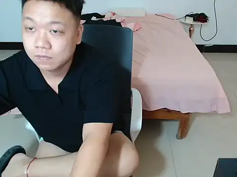 cc2003vv webcam
