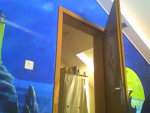 Dejanaceking webcam