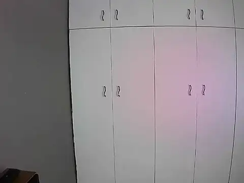 BaDSubMiss webcam
