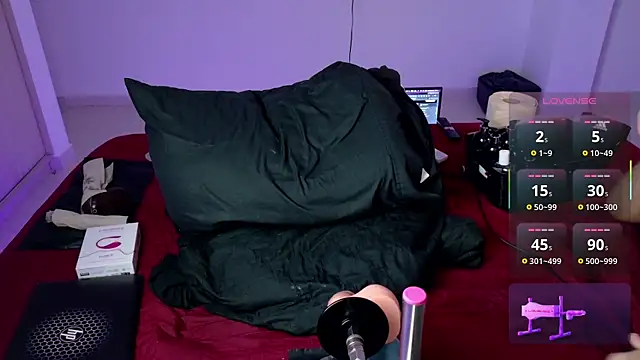 andreu_cavel webcam