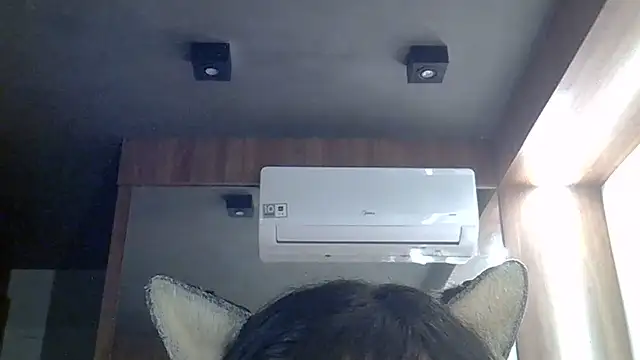 SkinnyKitten webcam
