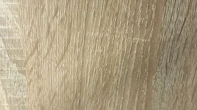 NoFace_Model webcam