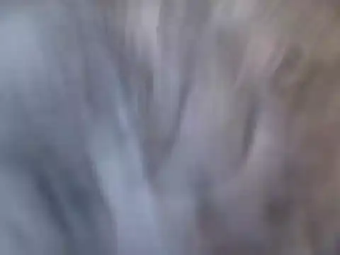 MarthaBriest webcam