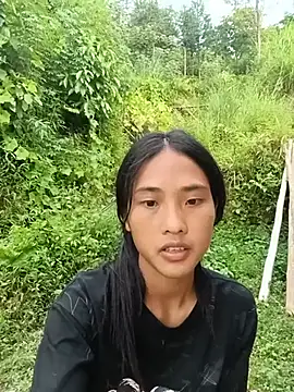 Hoa-tuylip webcam