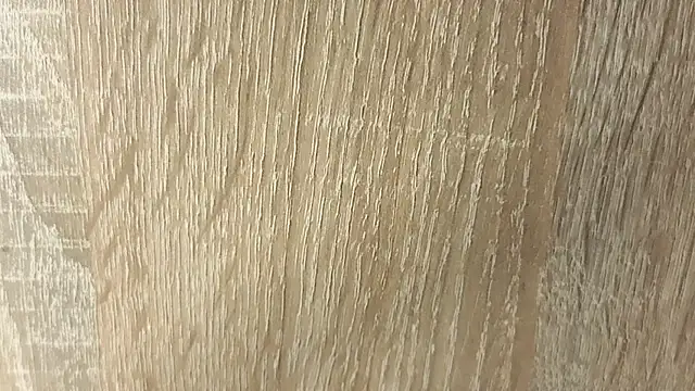 NoFace_Model webcam