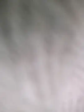 hamstiboy55 webcam