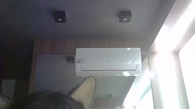 SkinnyKitten webcam