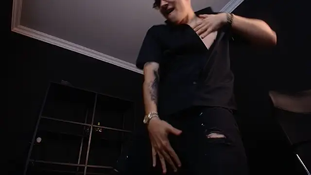 FelixStarkk webcam