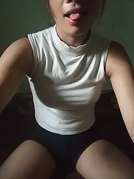 aiai220 webcam