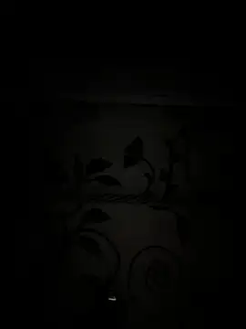 CoyoteDuMato webcam
