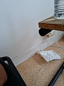 molozeb webcam