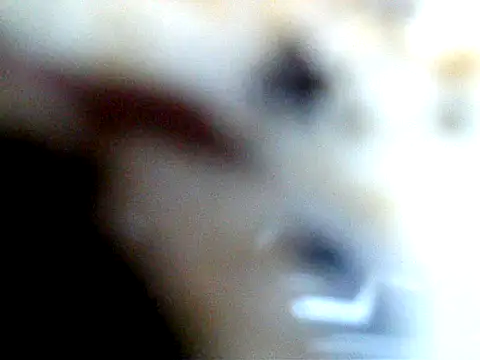 lilpink99 webcam