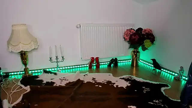 ViciousSiren webcam