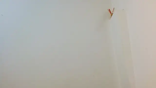 Twinkcock22 webcam
