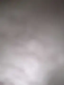 hamstiboy55 webcam