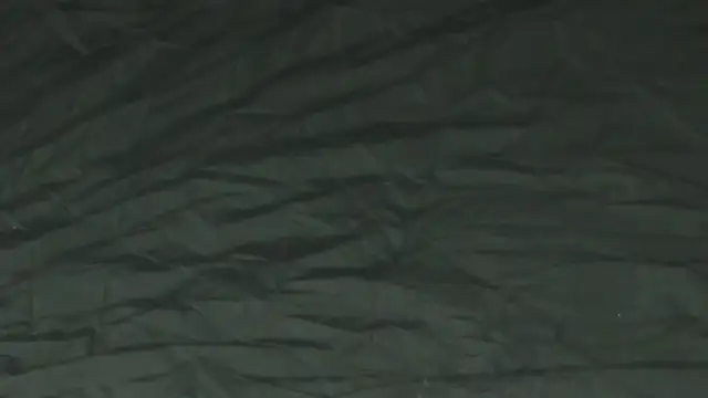 L1ittle_kitty_ webcam