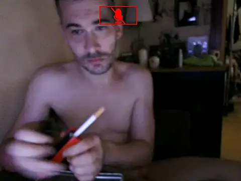 Hgay6935 webcam