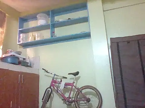 mislover webcam