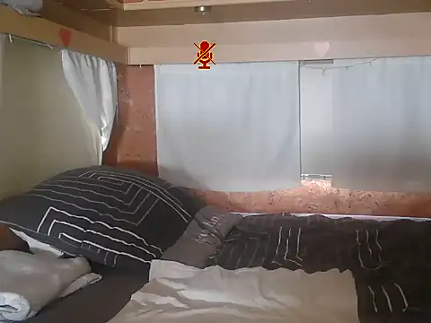 Sylly webcam