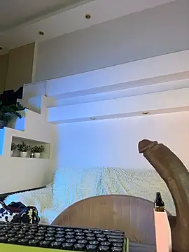 Tattitude_ webcam