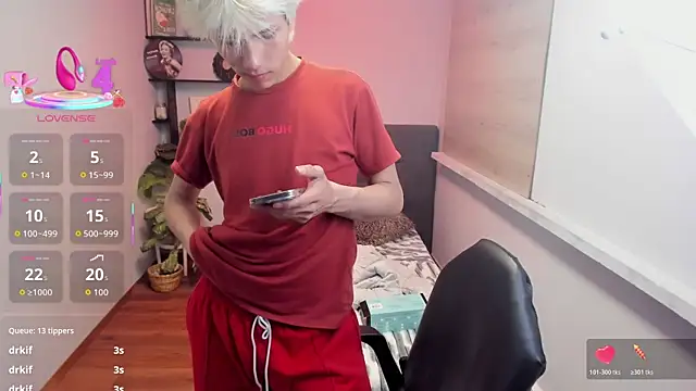 Stich_23 webcam