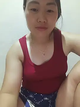 he-se-kin webcam