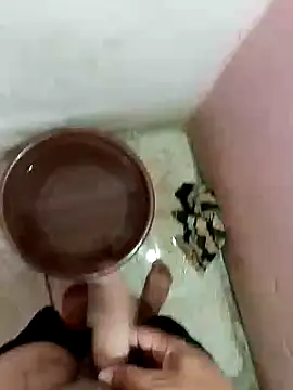 545ali webcam