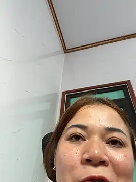 L_We webcam