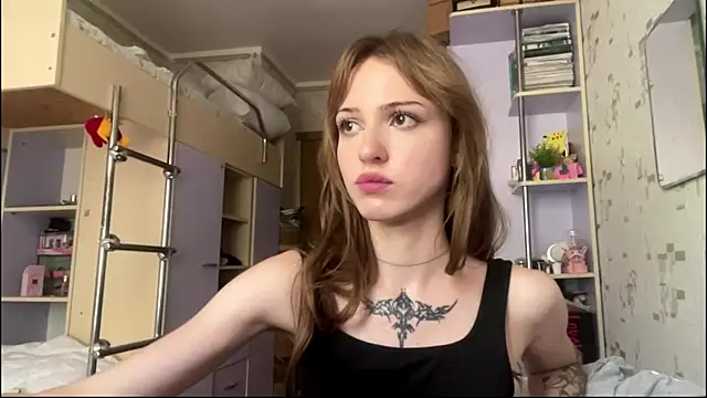 chipsis webcam
