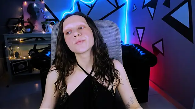LidaDarknet webcam